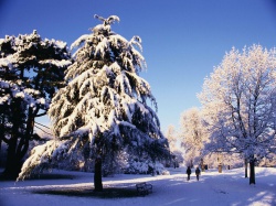 Влюбленные зимой картинки